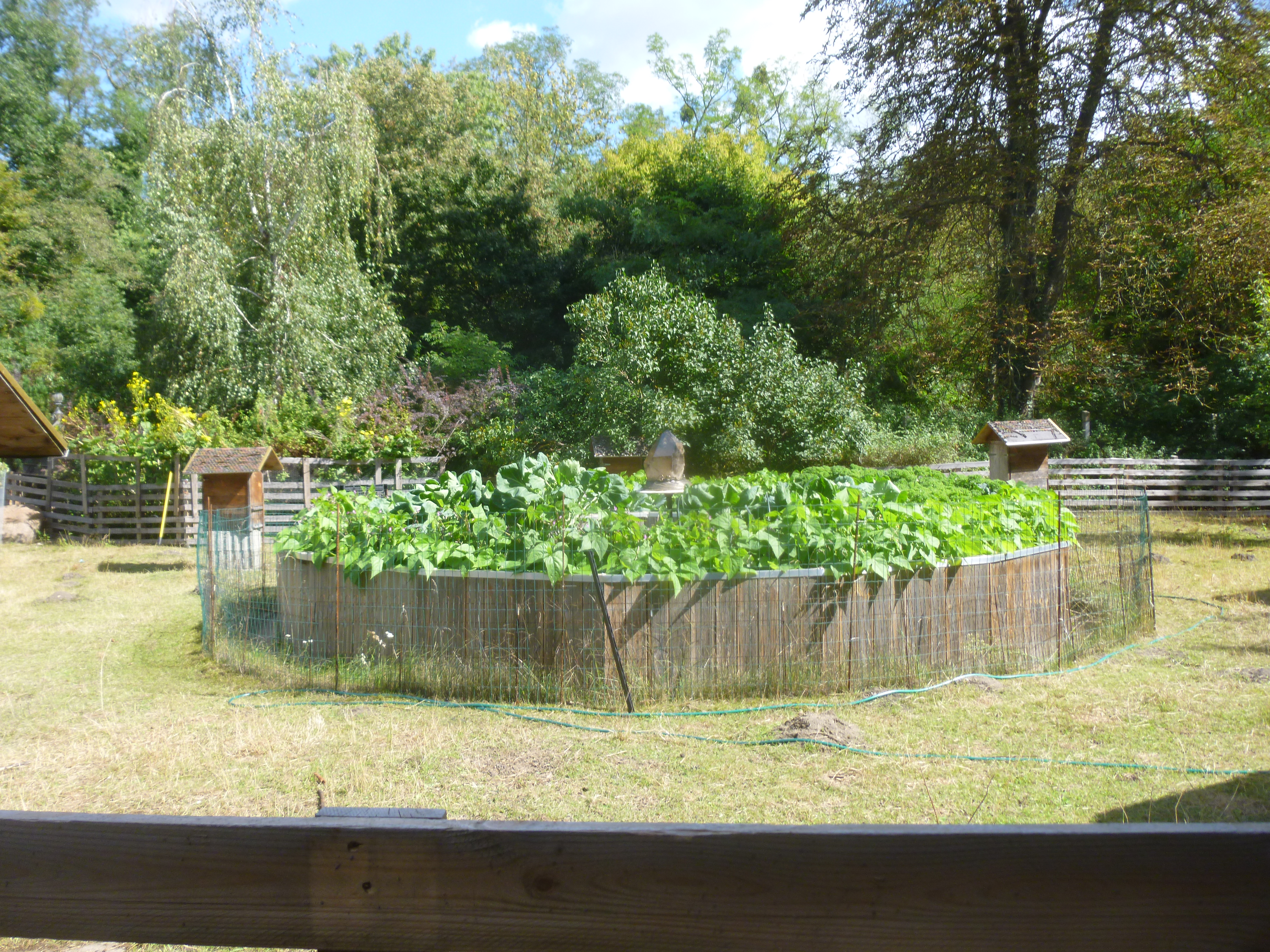 Bild: Rundes Hochbeet und Bienenkästen