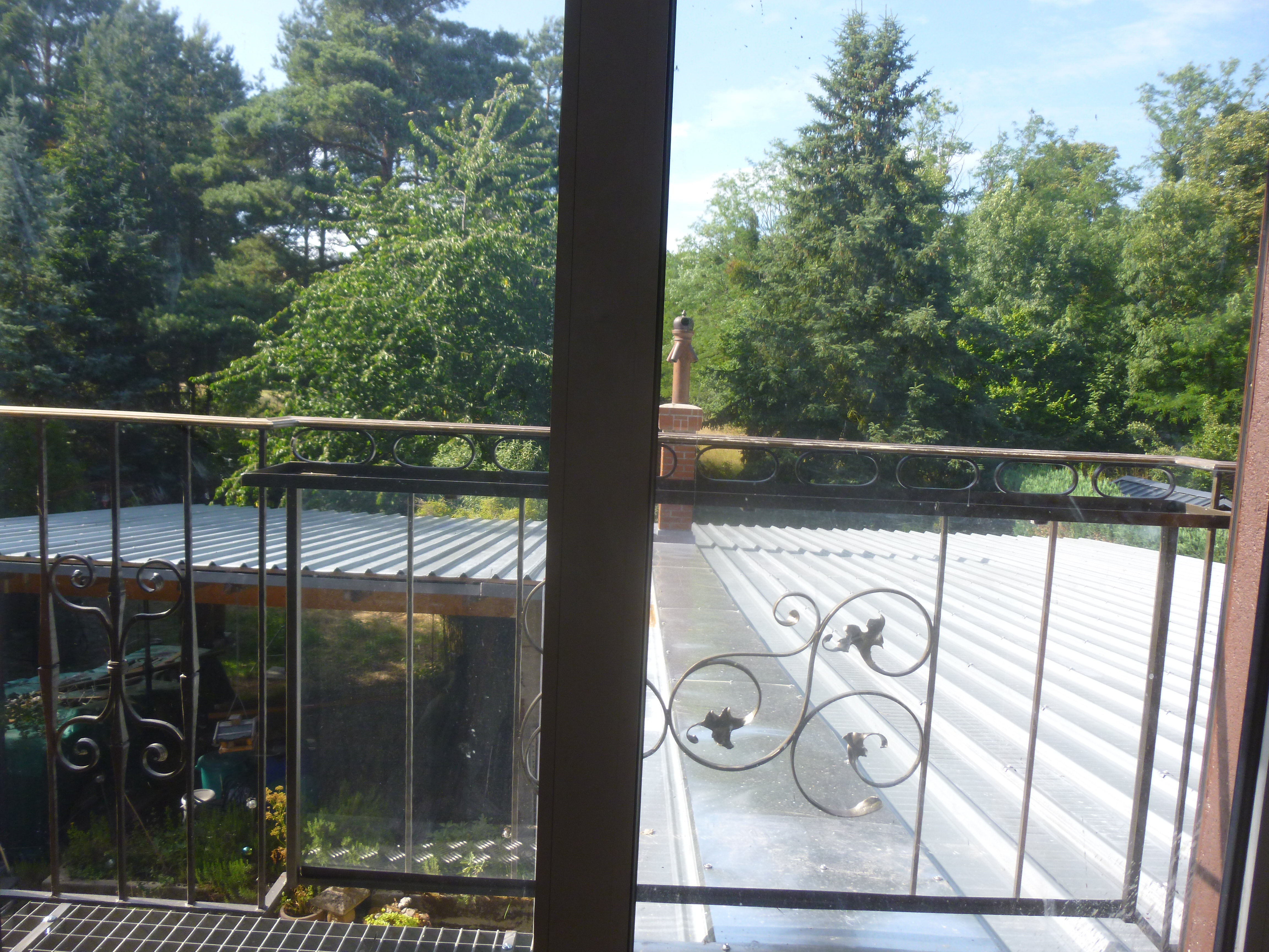 Blick aus dem Wohnzimmerfenster auf den blühendem Kirschbaum